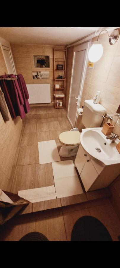Roca House Villa Braşov Dış mekan fotoğraf