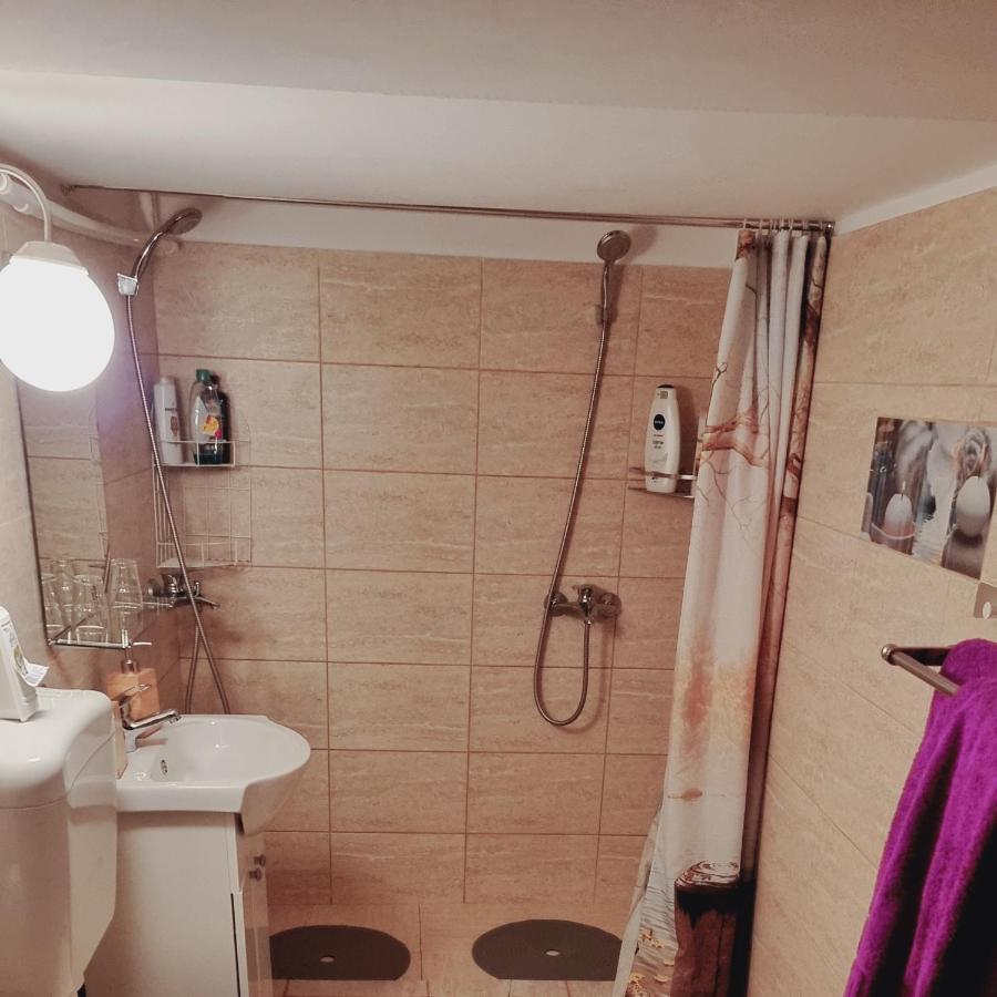Roca House Villa Braşov Dış mekan fotoğraf