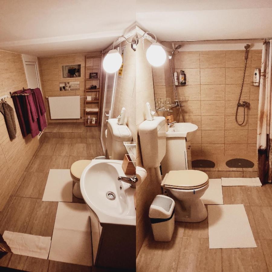 Roca House Villa Braşov Dış mekan fotoğraf