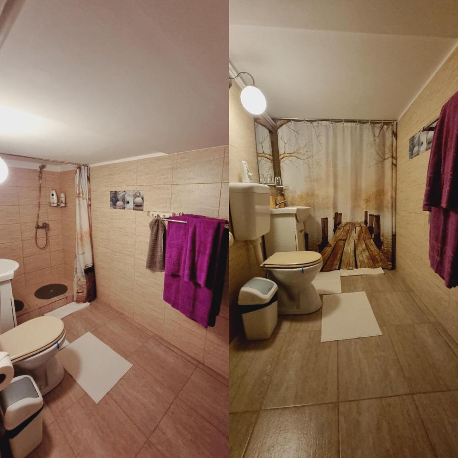 Roca House Villa Braşov Dış mekan fotoğraf