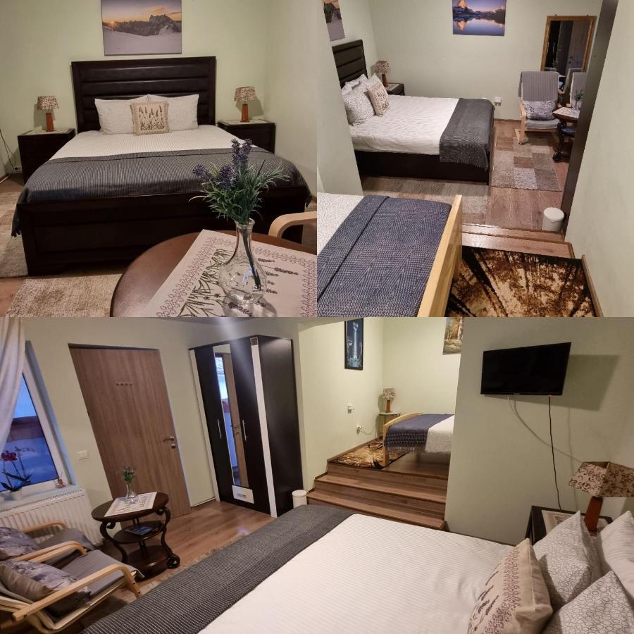 Roca House Villa Braşov Dış mekan fotoğraf