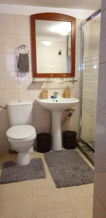 Roca House Villa Braşov Dış mekan fotoğraf
